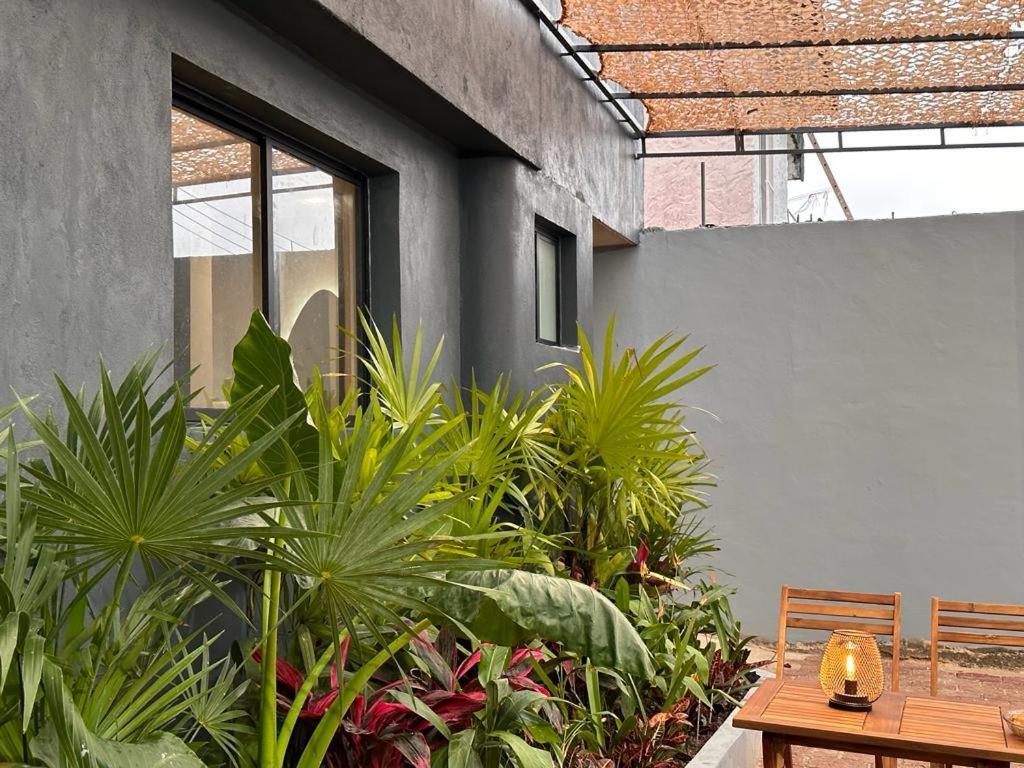 Xaman - Boutique Studios Cancun Dış mekan fotoğraf