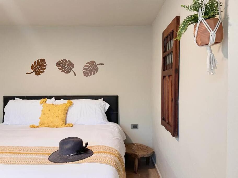Xaman - Boutique Studios Cancun Dış mekan fotoğraf